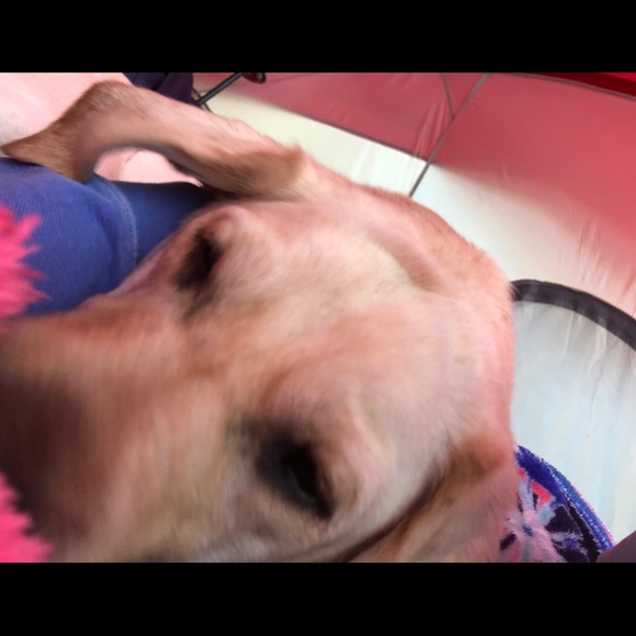 Meet your Posher, Sarah - Picture 1 of 1